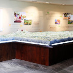 Resident for a Day at Estrella Master Planned Community in Goodyear, AZ