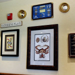 Resident for a Day at Estrella Master Planned Community in Goodyear, AZ