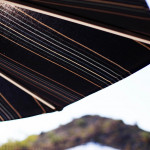 Resident for a Day at Estrella Master Planned Community in Goodyear, AZ