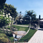 Wine Tasting in Livermore California