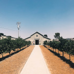 Wine Tasting in Livermore California